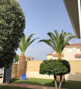 Diseño de jardín exterior con palmeras